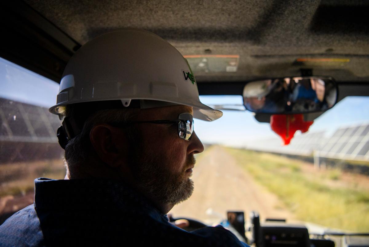 Sheep graze on Texas solar farms as renewable energy companies embrace